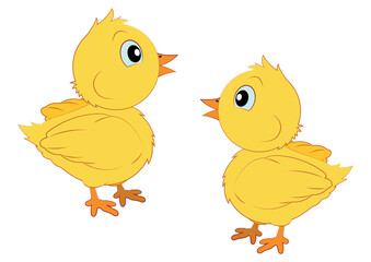 Cute Cartoon baby chicken
