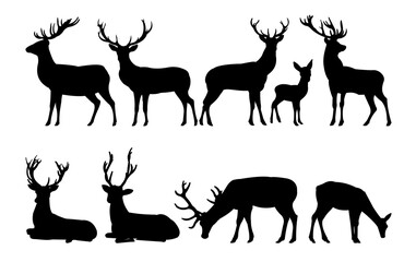 Deer silhouette set. Adult dress males and smocks with cubs. Wild animals. Isolated on white background. Vector.