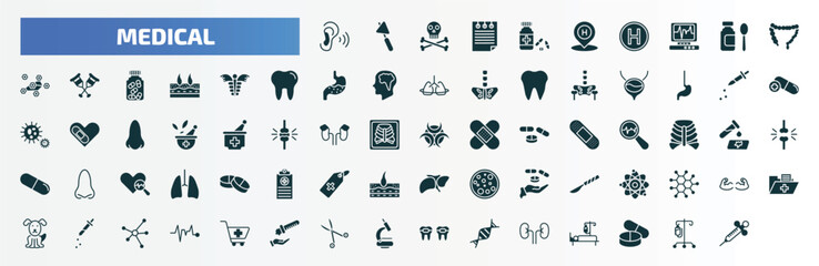 medical filled icons set. flat icons such as ear, pills jar, syrup medicine bottle, dermis, esophagus, x ray of bones, scalpel, canine, acid falling on hand, kidney glyph icons.