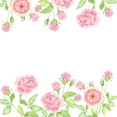 watercolor beautiful English rose flower bouquet garden square