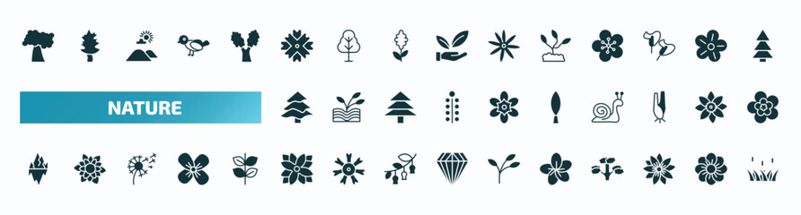 set of 40 filled nature icons. flat icons such as black cherry tree, wedelia, grow plant, balsam fir tree, cypress, iceberg, zinnia, sakura, hypericum, reed glyph icons. - obrazy, fototapety, plakaty