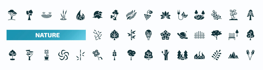 Fototapeta na wymiar set of 40 filled nature icons. flat icons such as savannah, sun fuji mountain, eco energy source, ikebana flowers, saturn with his ring, tree growing, floral decorations, forest fire, branches with