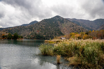 Obraz premium Autumn season, Near the lake, small home, beautiful story in amazing place Nikko national park in japan. Natural colors photography. Rural place autumn tree reflections in the lake