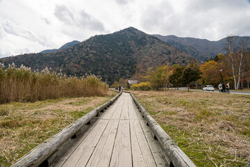 Mountain range Bridge and forest autumn season. Photographer background 