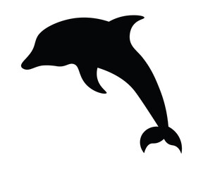 dolphin isolated on white background