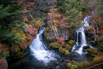 Fototapeta na wymiar Colorful majestic waterfall in national park forest during autumn nature Photography.Landscape view national nature park Nikko Japan. Beautiful place