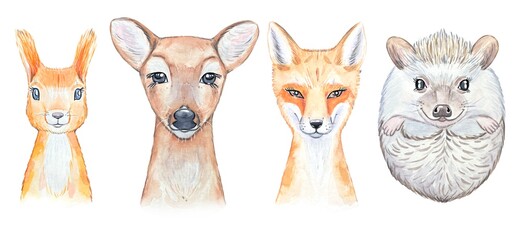 Collection of portraits of watercolor forest animals