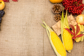 Beautiful background with autumn vegetables, berries and fruits on a burlap background. Autumn...