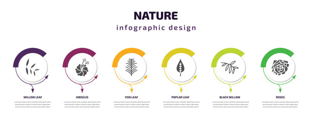 nature infographic template with icons and 6 step or option. nature icons such as willow leaf, hibiscus, yew leaf, poplar leaf, black willow, roses vector. can be used for banner, info graph, web,