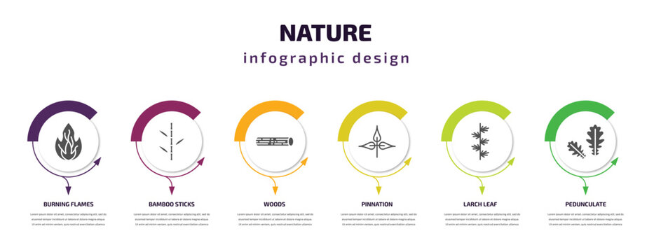 nature infographic template with icons and 6 step or option. nature icons such as burning flames, bamboo sticks, woods, pinnation, larch leaf, pedunculate vector. can be used for banner, info graph,