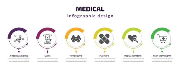 medical infographic template with icons and 6 step or option. medical icons such as three hexagons cell, canine, thyroid gland, plastering, medical heart scan, phary shopping cart vector. can be