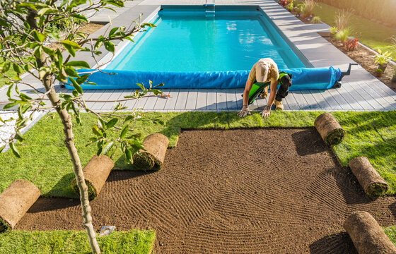 Gardener Installing Roll Out Lawn Next to Pool
