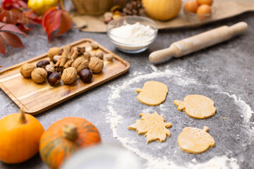 Fototapeta na wymiar Cookies in the form of autumn leaves are rolled out of dough on the table. Nuts, leaves and pumpkins lie on the background. Thanksgiving cookies. Festive pastries for adults and children.