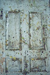 old wooden door  background