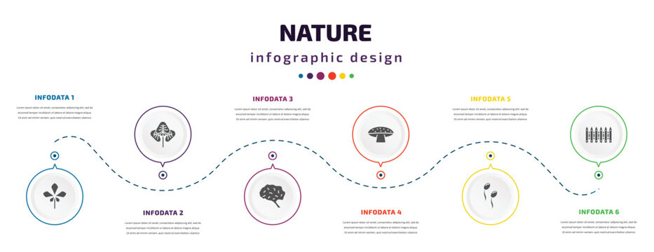 nature infographic element with icons and 6 step or option. nature icons such as chestnut leaf, reniform, human brian, amanita, fertilize clinic, fences vector. can be used for banner, info graph,