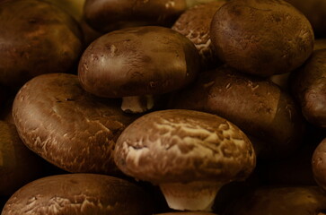 Farmer's market, brown champignon mushrooms. Portobello