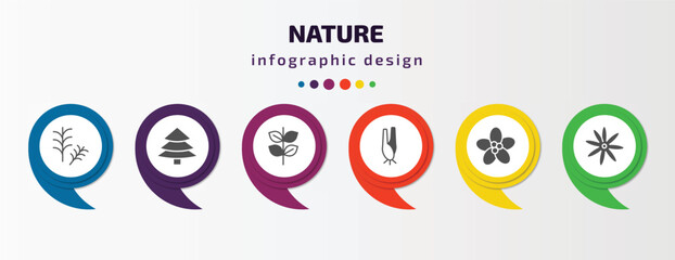 nature infographic template with icons and 6 step or option. nature icons such as rosemary, red spruce tree, pinnate, lemongrass, pointia, sisyrinchium vector. can be used for banner, info graph,