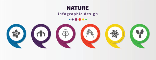 nature infographic template with icons and 6 step or option. nature icons such as narcissus, ylang-ylang, birch, lavender, dahlia, eastern cottonwood tree vector. can be used for banner, info graph, - obrazy, fototapety, plakaty