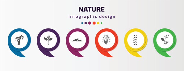 nature infographic template with icons and 6 step or option. nature icons such as coconut tree standing, cuspicate, dune, yew leaf, acacia, perfoliate vector. can be used for banner, info graph,