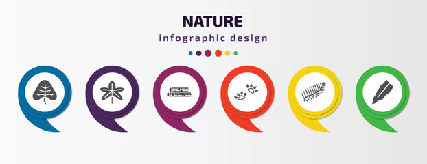 nature infographic template with icons and 6 step or option. nature icons such as cordate, grape leaf, woods, four toe footprint, pine leaf, philodendron vector. can be used for banner, info graph,