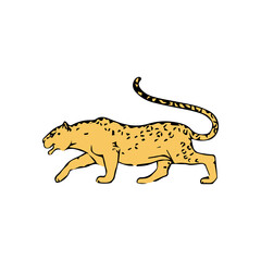 cheetah vector illustration isolated on white background