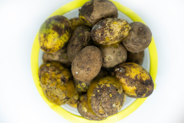 Close up rotten ambarella isolated white background