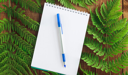Eco concept notepad, eco-friendly paper pen and green leaf