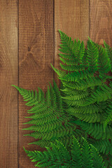 Flat lay creative frame of nature leaves fern plant on rustic wood grunge background with retro , tropical jungle vacation and travel concepts.