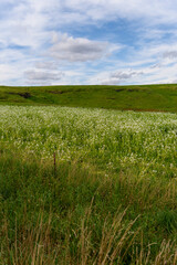 Landscape of Country Victoria, Australia