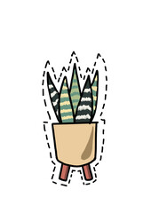 illustration of a plant