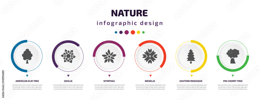Poster nature infographic element with icons and 6 step or option. nature icons such as american elm tree, 