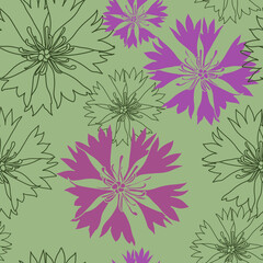 seamless pattern with green cornflowers flowers,Floral graphic design