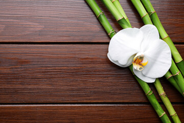 Bamboo stems and orchid flower on wooden table, flat lay. Space for text