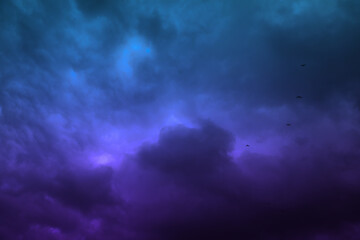 Fototapeta na wymiar Picturesque view of birds in sky with heavy rainy clouds
