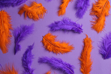 Bright beautiful feathers on violet background, flat lay