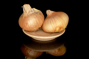 Two fragrant onions on a ceramic saucer, close-up, isolated on a black background.