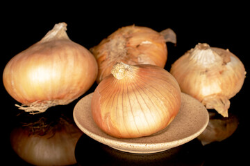 Several organic juicy unpeeled onions, close-up, on a black background.