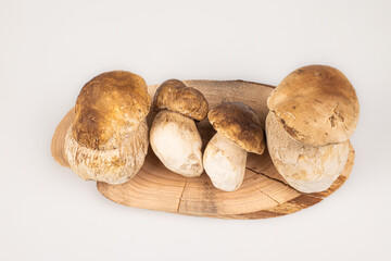 Group of fresh mushrooms, boletus edulis on wooden board with white background