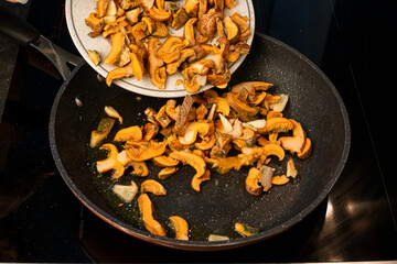 Cooking at home, sautéed rebollones (Lactarius deliciosus) with garlic