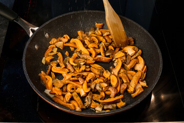 Cooking at home, sautéed rebollones (Lactarius deliciosus) with garlic