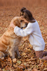 beautiful girl in the autumn park with a dog golden retriever labrador for a walk