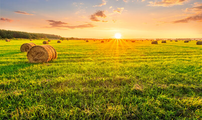 Scenic view at picturesque burning sunset in a green shiny field with hay stacks, bright cloudy sky...