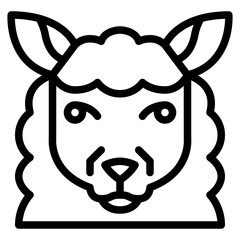 sheep animal