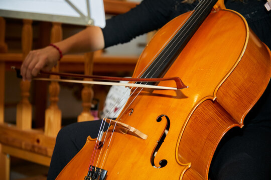 Violonchelo, viol&iacute;n, cuerda, instrumento