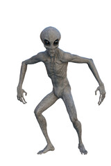 Grey Alien looking alert. 3D render isolated on transparent background.