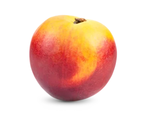 Tuinposter Nectarine fruit isolated on transparent png © supamas