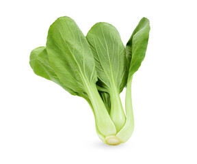 Bok choy vegetable on white transparent png