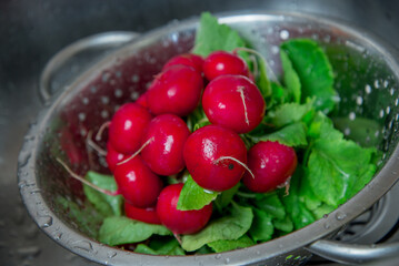 Bunch of fresh radishes