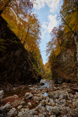 Obraz premium landscape with the gorge of a mountain river in autumn