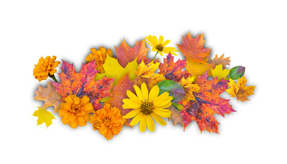 collage of autumn flowers and leaves